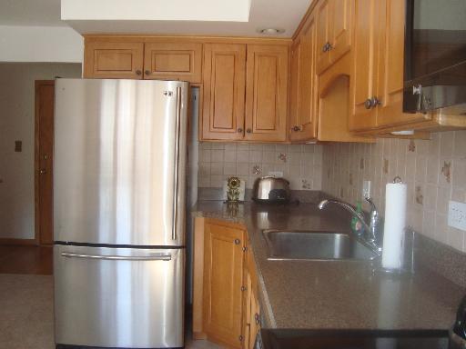 69 Lincoln Avenue, Unit 4 Riverside, IL 60546 - Photo 5 of 10 a kitchen with stainless steel appliances a refrigerator and a sink