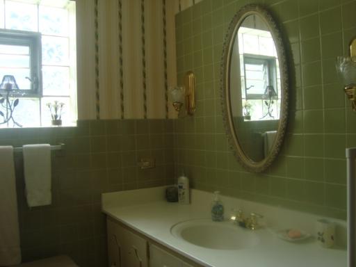 69 Lincoln Avenue, Unit 4 Riverside, IL 60546 - Photo 9 of 10 a bathroom with a sink a toilet and a mirror