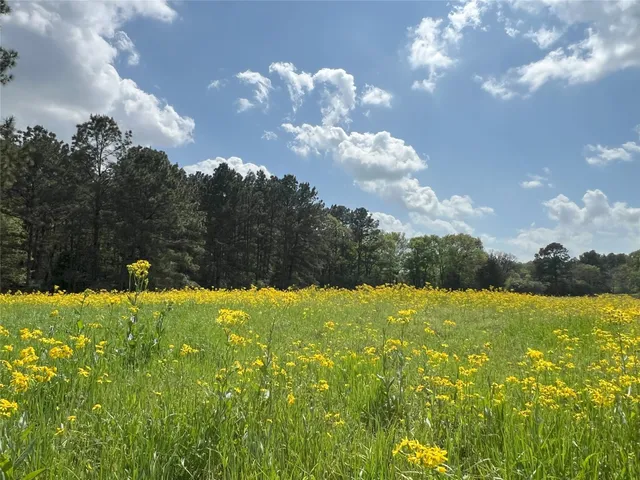 $2,245,000 | 23004 Landrum Village Drive, Montgomery, TX 77316