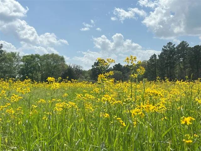 $2,245,000 | 23004 Landrum Village Drive, Montgomery, TX 77316