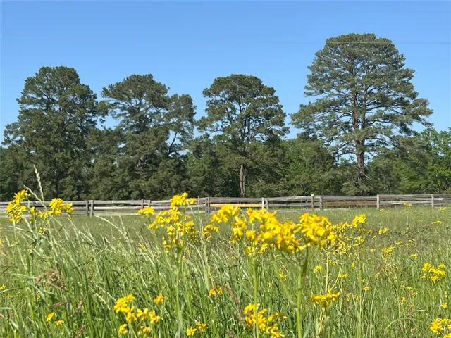 $2,245,000 | 23004 Landrum Village Drive, Montgomery, TX 77316