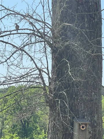 $2,245,000 | 23004 Landrum Village Drive, Montgomery, TX 77316