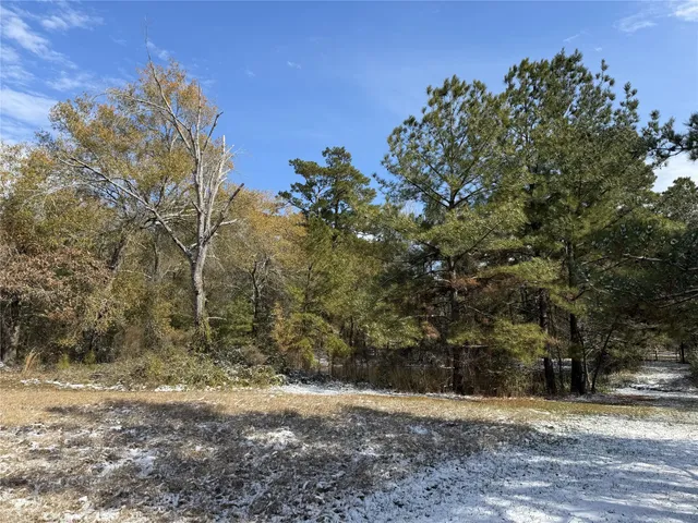 $2,245,000 | 23004 Landrum Village Drive, Montgomery, TX 77316