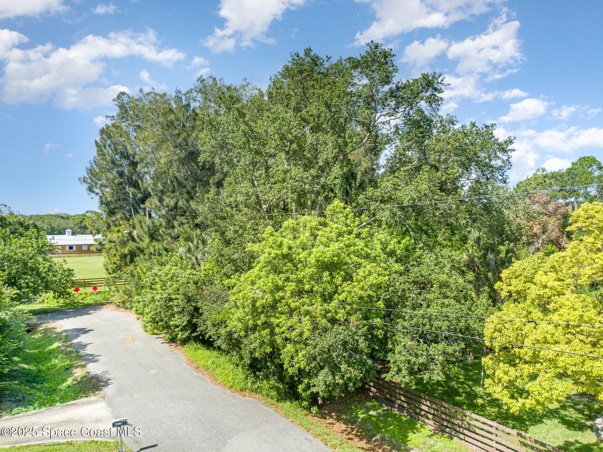 1545 Anson Road Melbourne, FL 32934 - Photo 11 of 19 a view of a garden with pathway