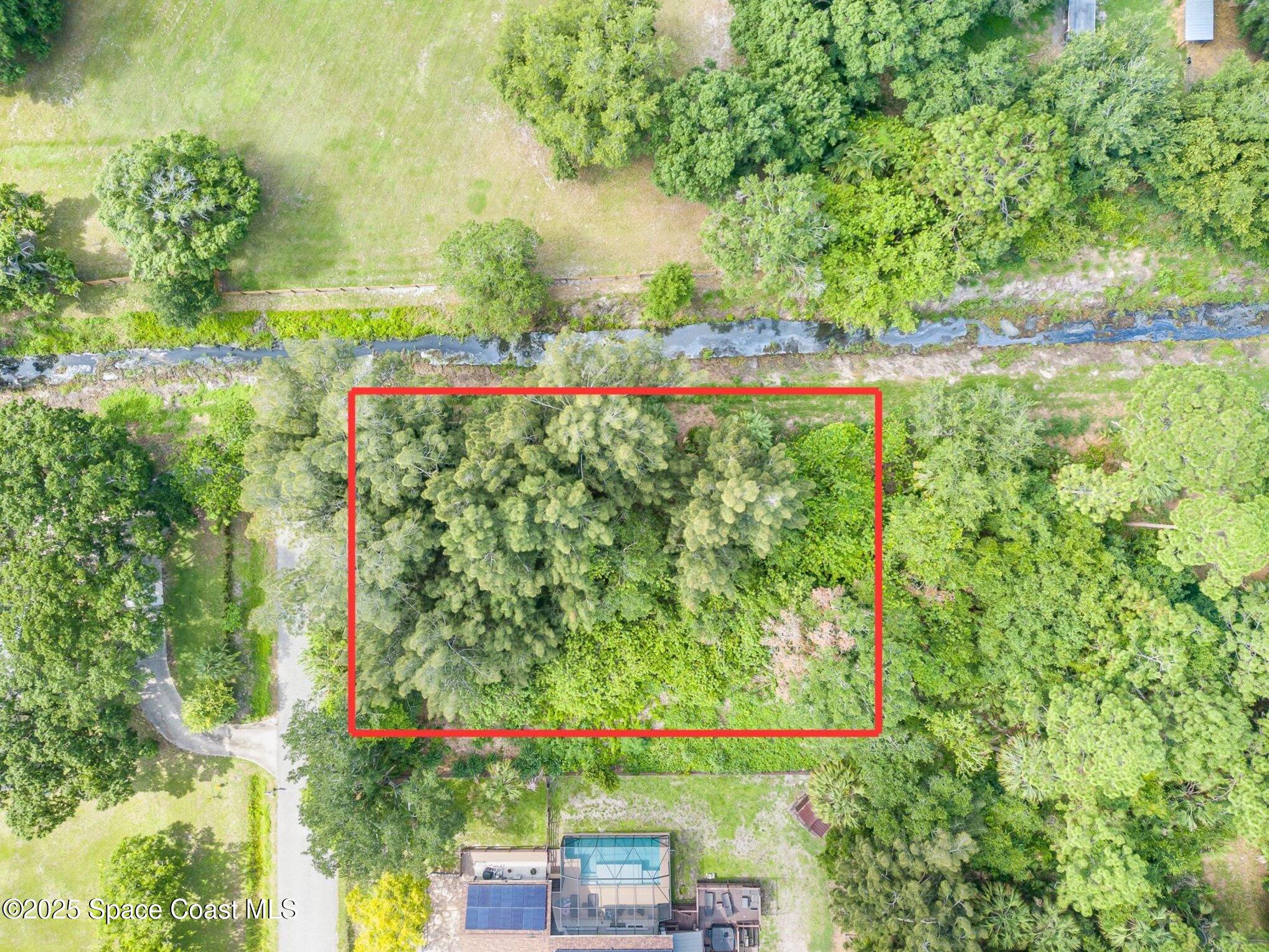 1545 Anson Road Melbourne, FL 32934 - Photo 15 of 19 a backyard of a house with lots of green space and plants