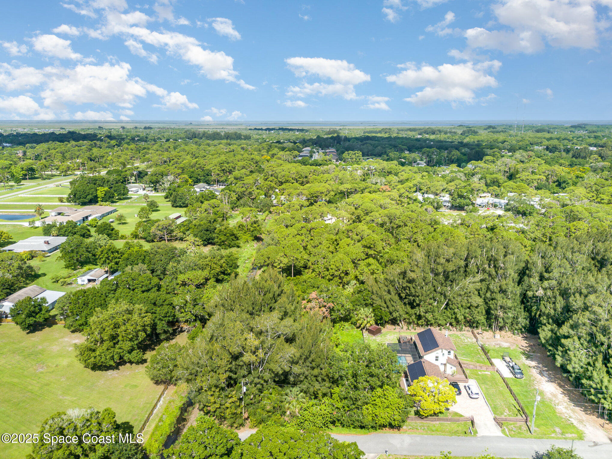 1545 Anson Road Melbourne, FL 32934 - Photo 7 of 19 a view of a bunch of trees