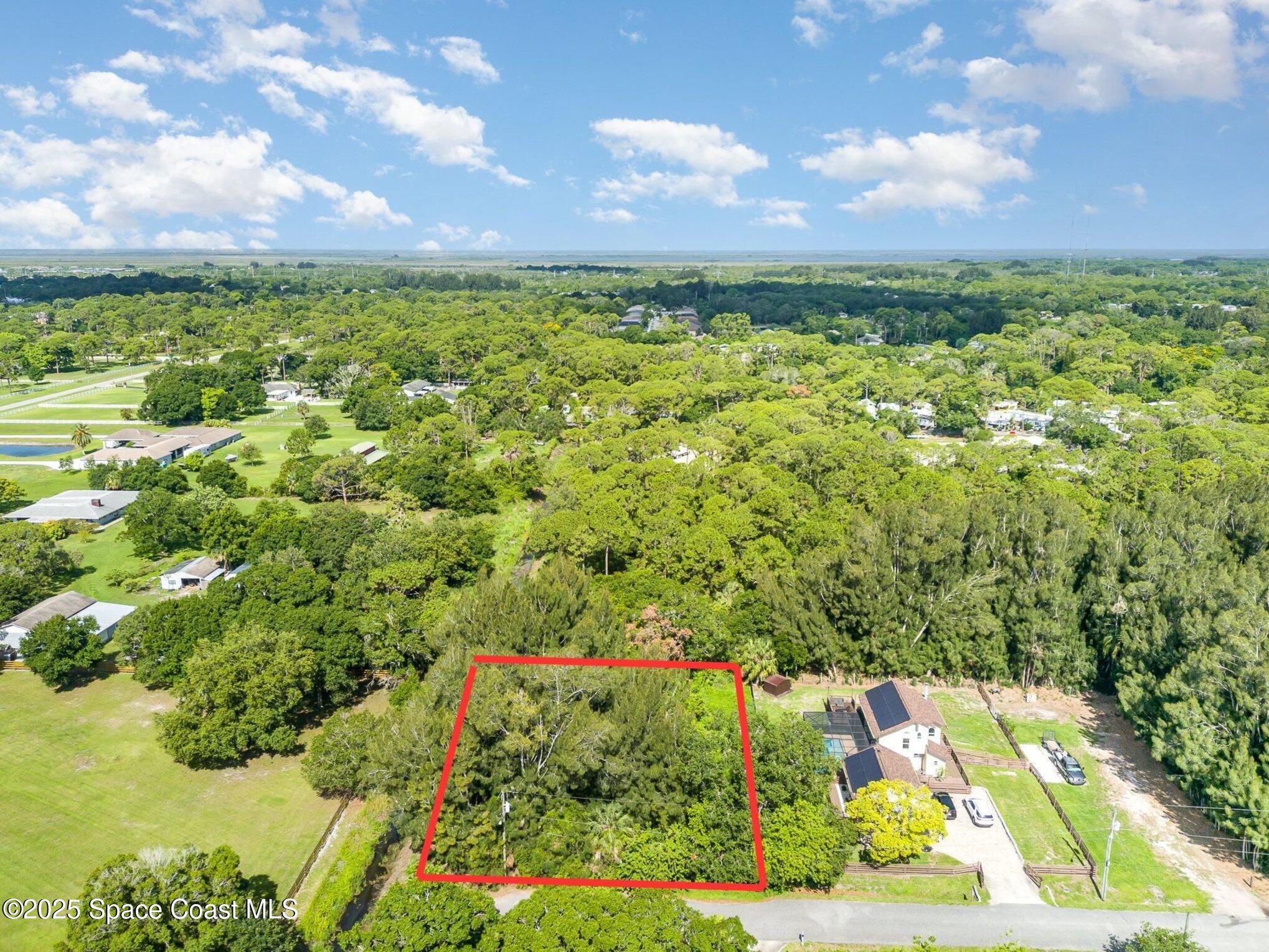 1545 Anson Road Melbourne, FL 32934 - Photo 8 of 19 a view of a bunch of trees