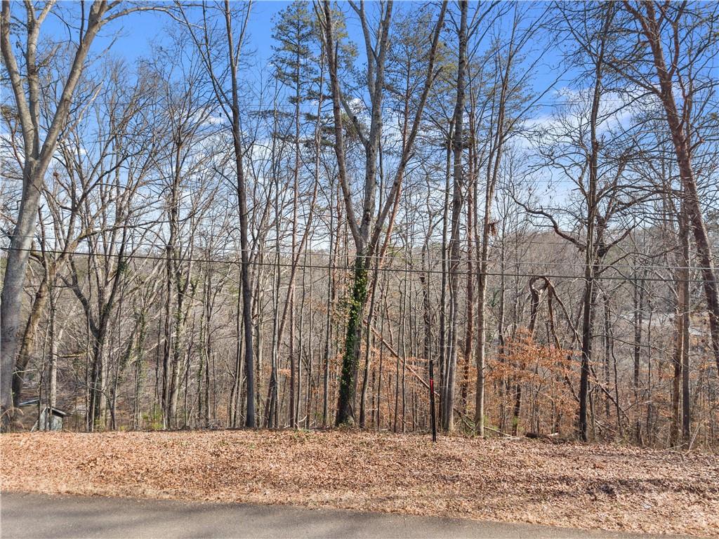 0 Six Six Mile Ridge Road Cumming, GA 30041 - Photo 2 of 6