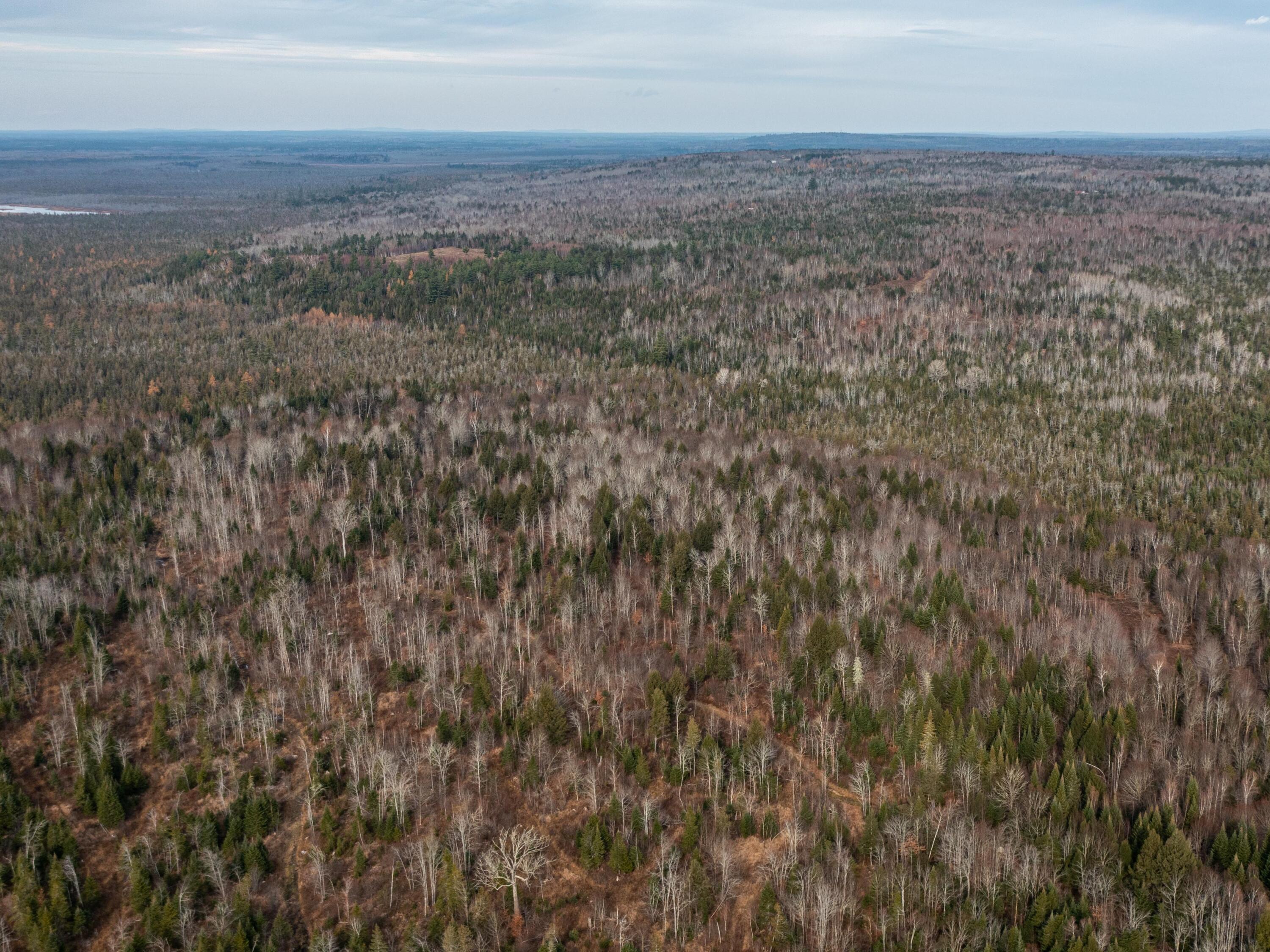 T7 R3 Nbpp Me 04487 Route Springfield, ME 04487 - Photo 29 of 36 171 Route, Prentiss Twp T7 R3 NBPP Plan
