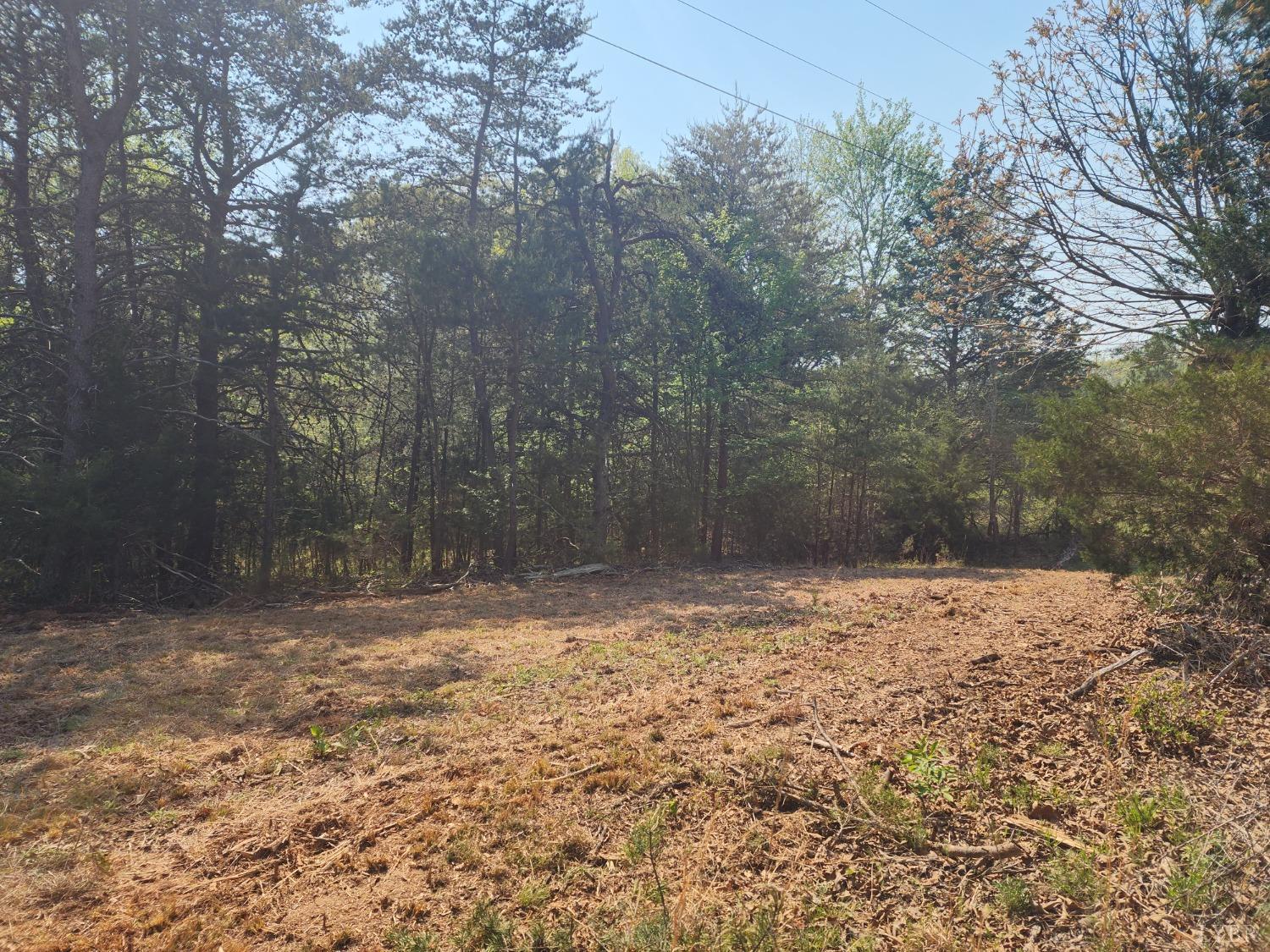 0 Horseshoe Road Appomattox, VA 24522 - Photo 2 of 2