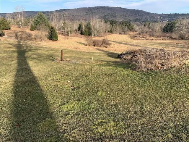 $42,500 | 23 St Highway, Oneonta, NY 13820