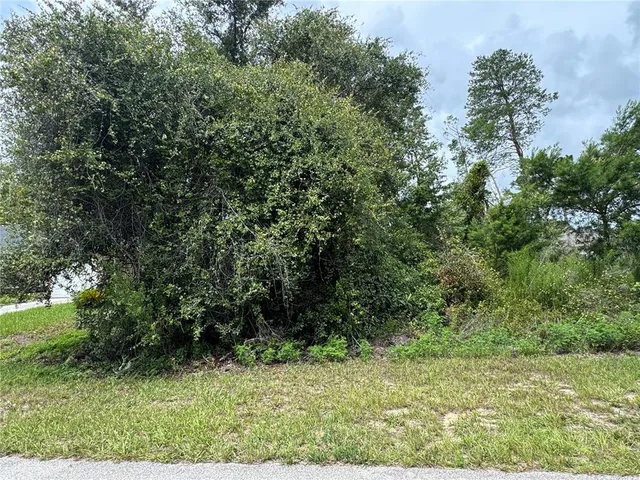a view of outdoor space and yard