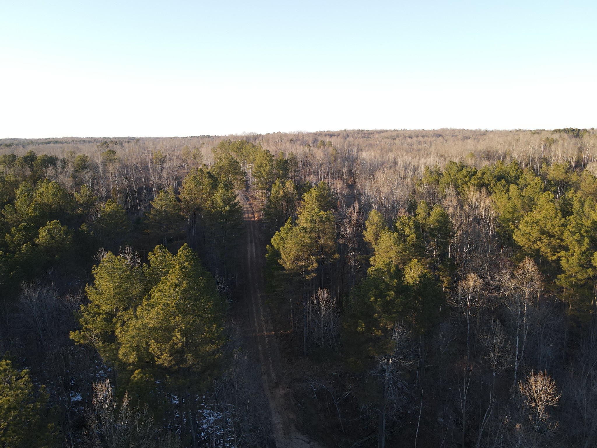 0 Copper Spring Road Springville, TN 38256 - Photo 12 of 28 a view of a lake