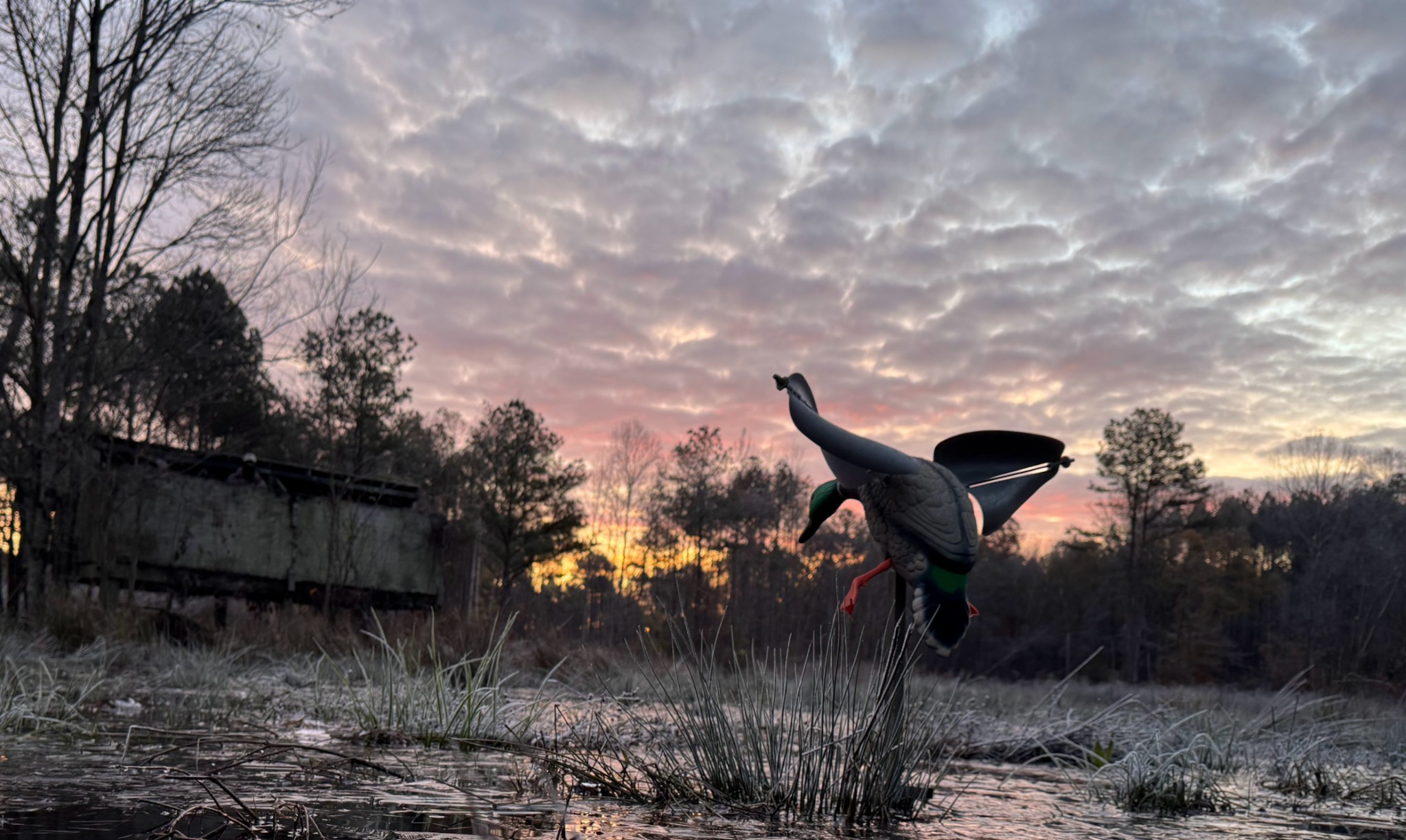 0 Copper Spring Road Springville, TN 38256 - Photo 16 of 28 a backyard of a house with table and chairs