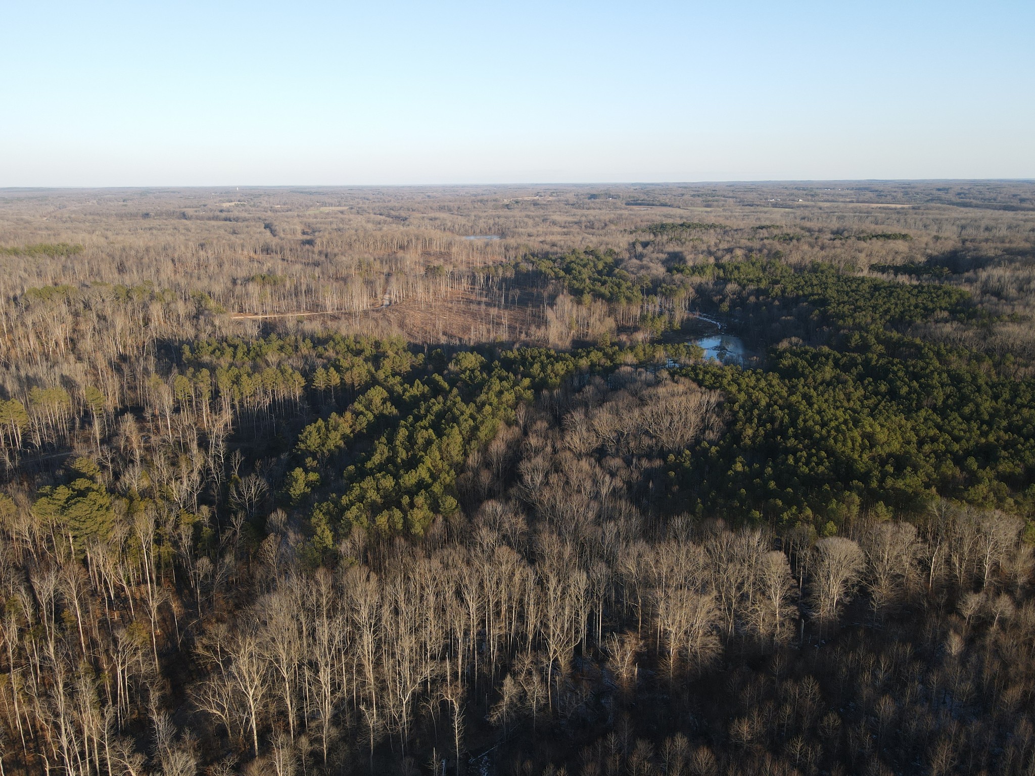 0 Copper Spring Road Springville, TN 38256 - Photo 17 of 28 a view of city and mountain