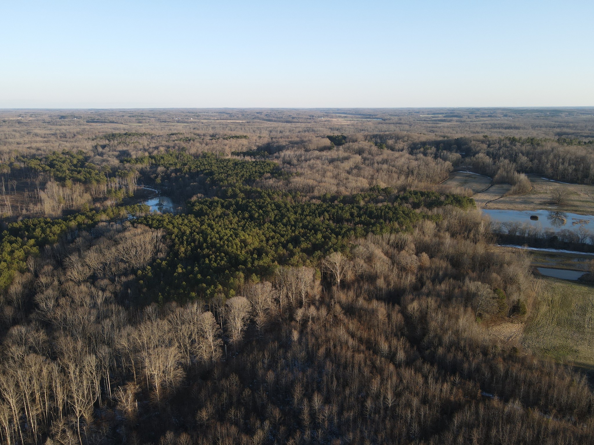 0 Copper Spring Road Springville, TN 38256 - Photo 18 of 28 an aerial view of multiple house