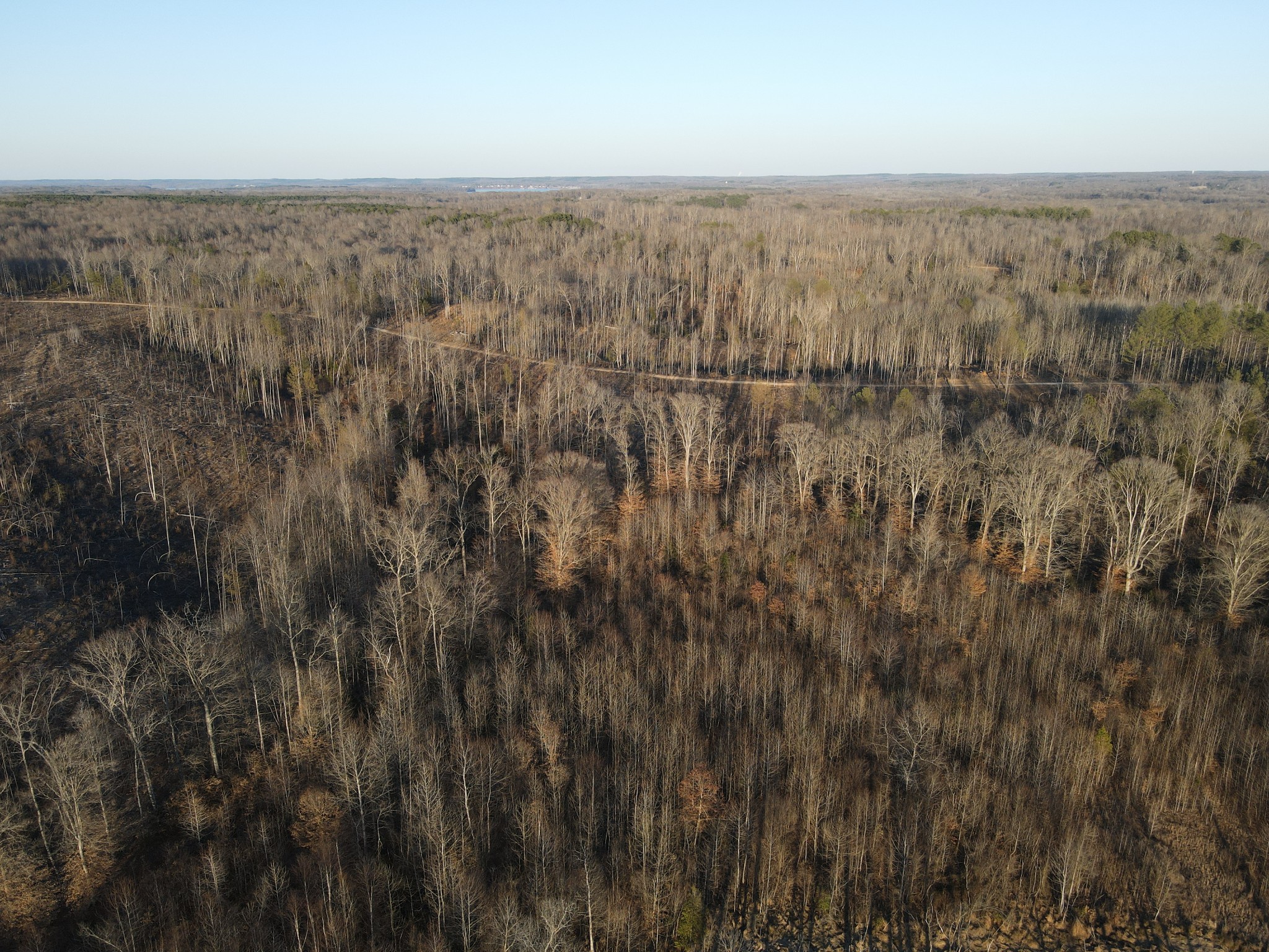 0 Copper Spring Road Springville, TN 38256 - Photo 20 of 28 a view of city and mountain