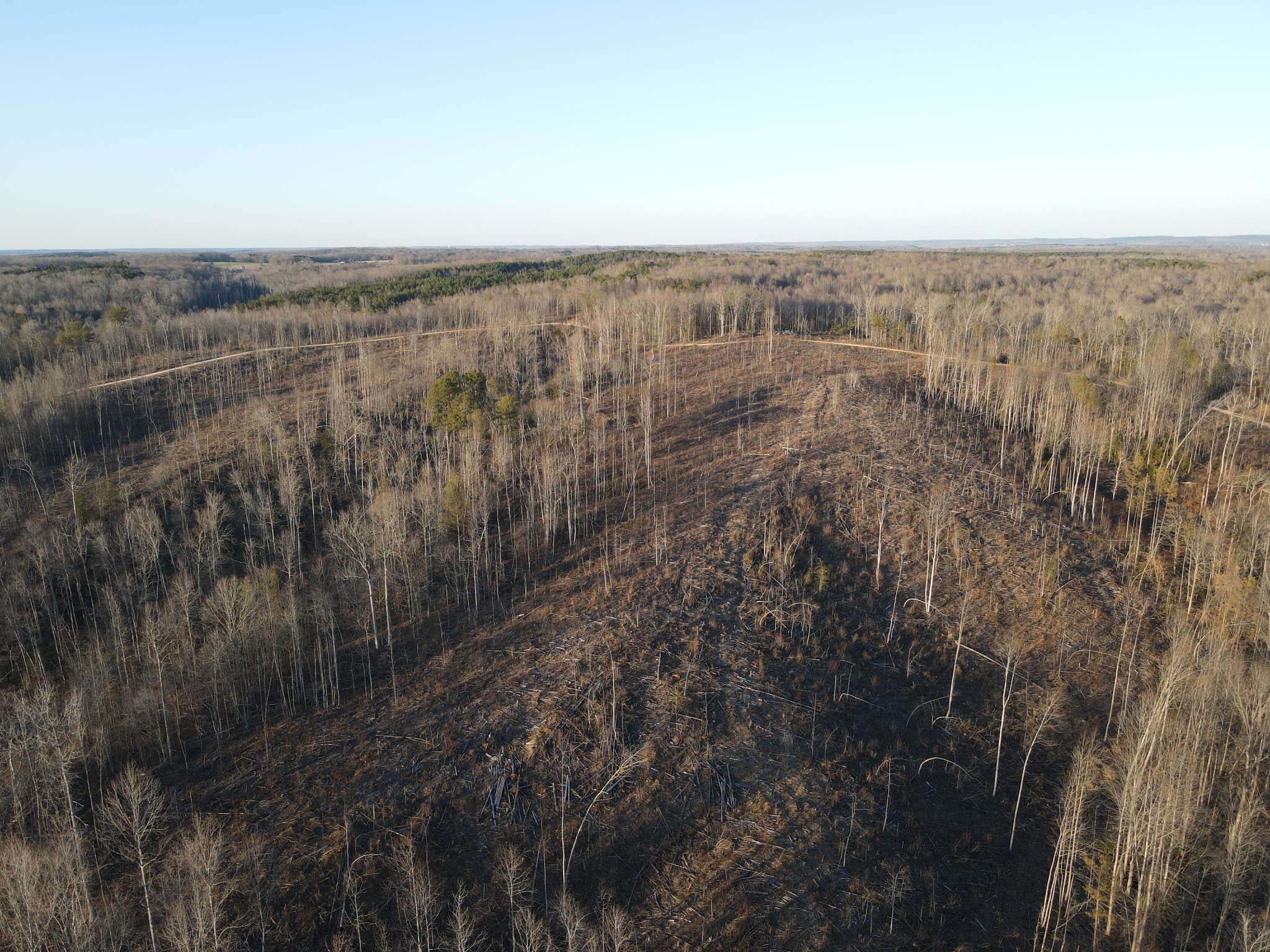 0 Copper Spring Road Springville, TN 38256 - Photo 21 of 28 a view of city and green space
