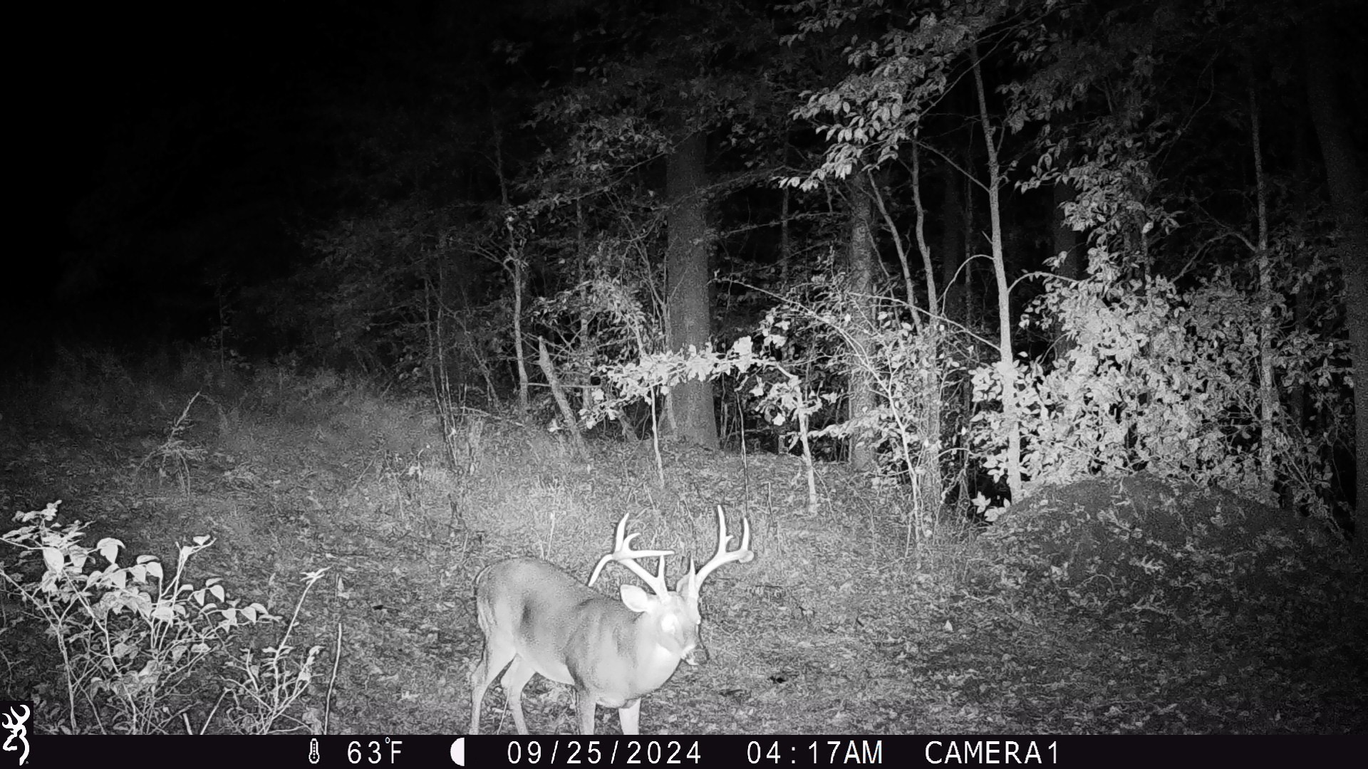 0 Copper Spring Road Springville, TN 38256 - Photo 26 of 28 a view of outdoor space