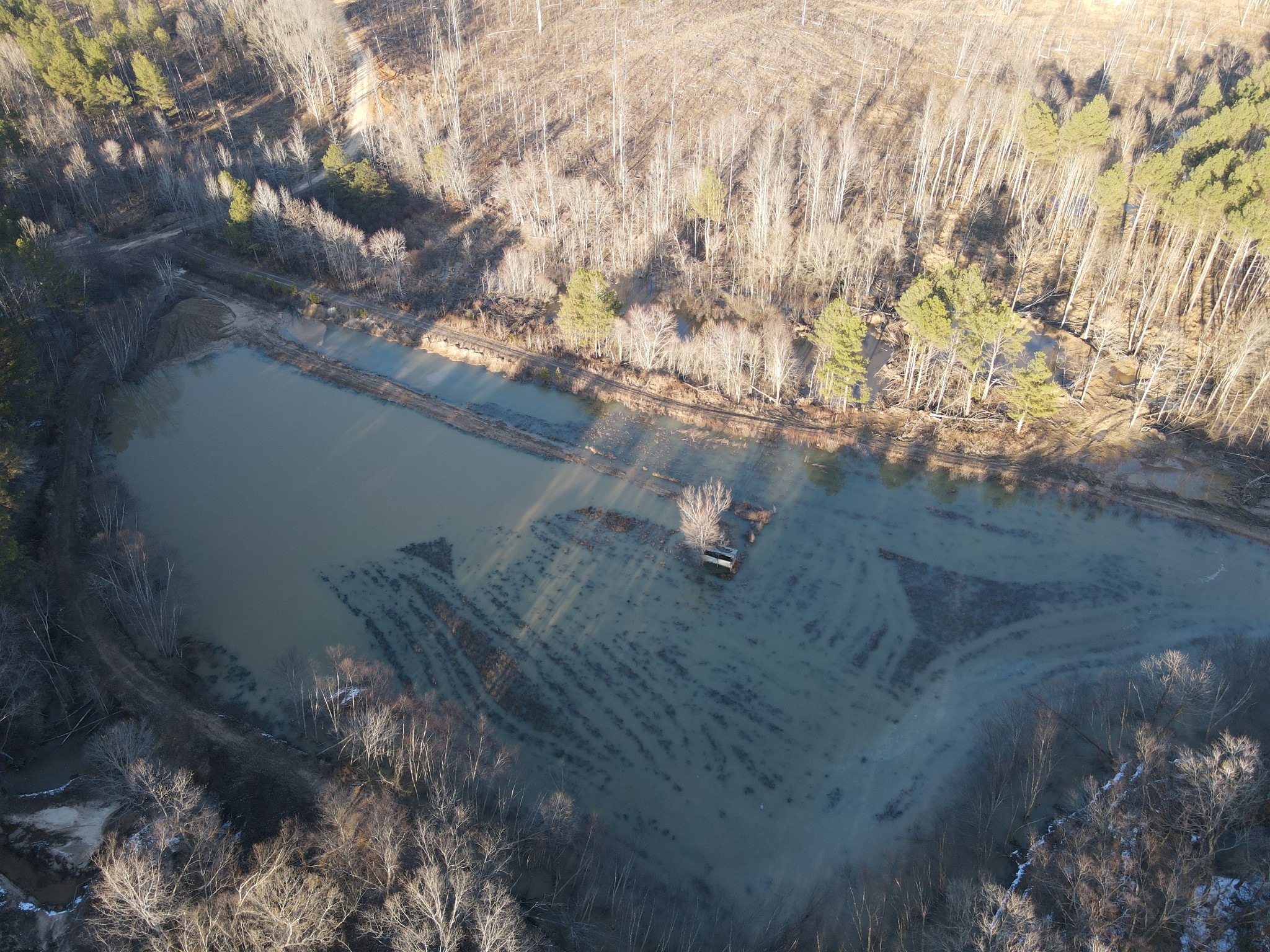 0 Copper Spring Road Springville, TN 38256 - Photo 3 of 28 a view of outside area
