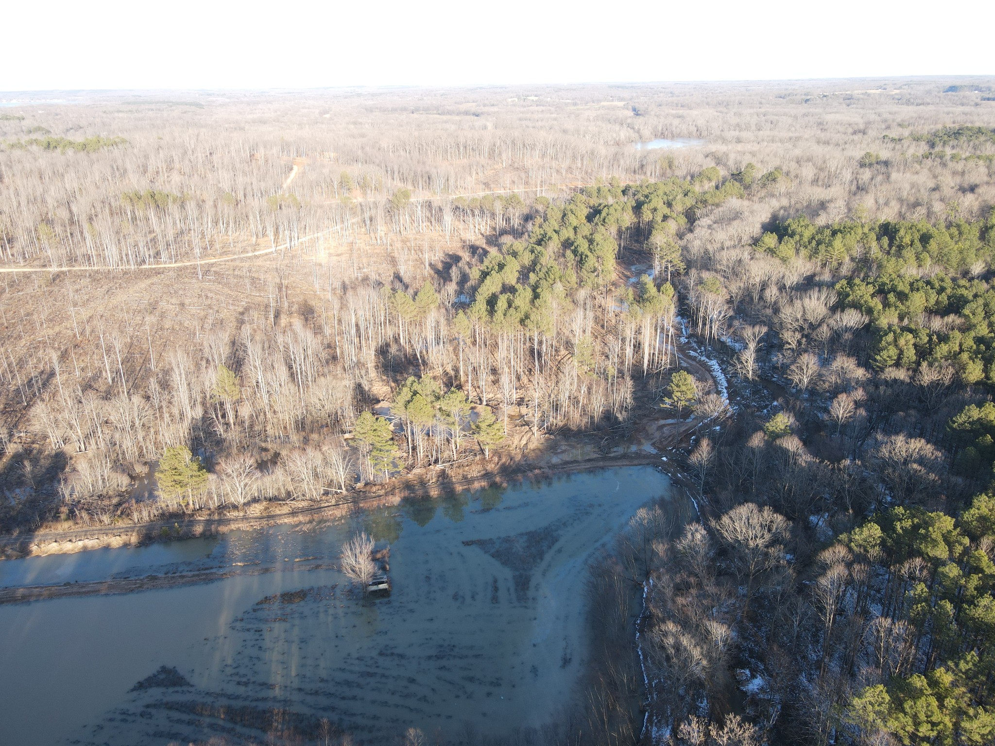 0 Copper Spring Road Springville, TN 38256 - Photo 4 of 28 a view of outdoor space and mountain view