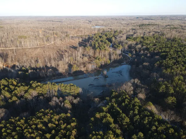 a view of a city with flower plants