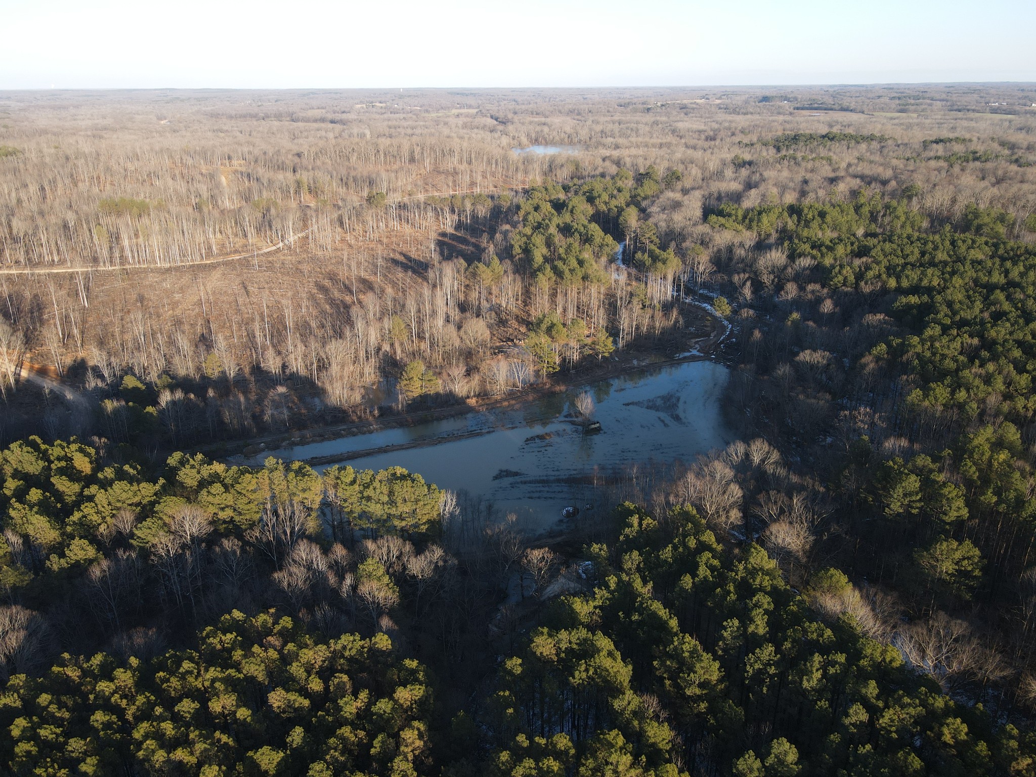 0 Copper Spring Road Springville, TN 38256 - Photo 5 of 28 a view of a city with flower plants