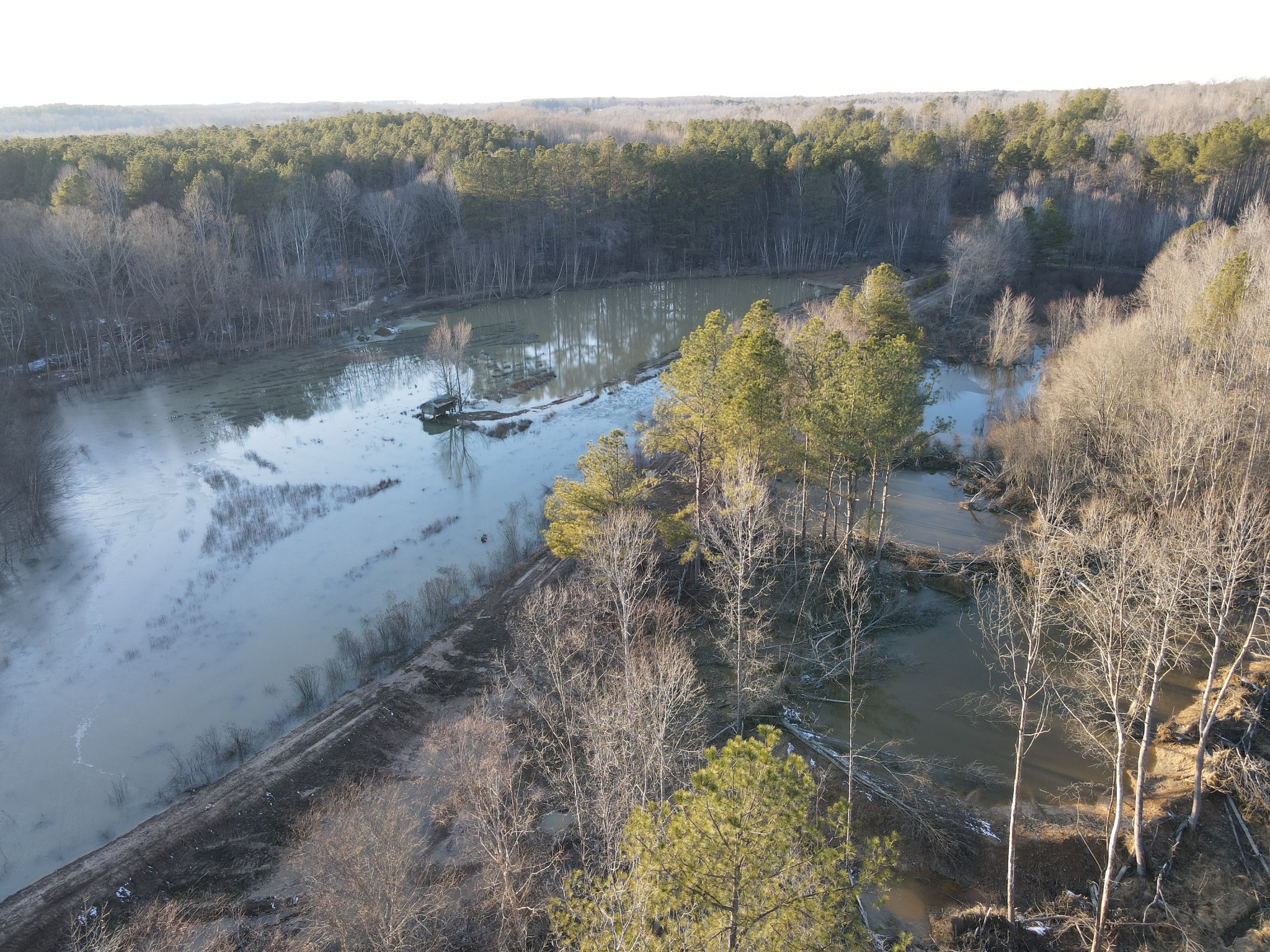 0 Copper Spring Road Springville, TN 38256 - Photo 6 of 28 a view of a lake with a mountain in the background
