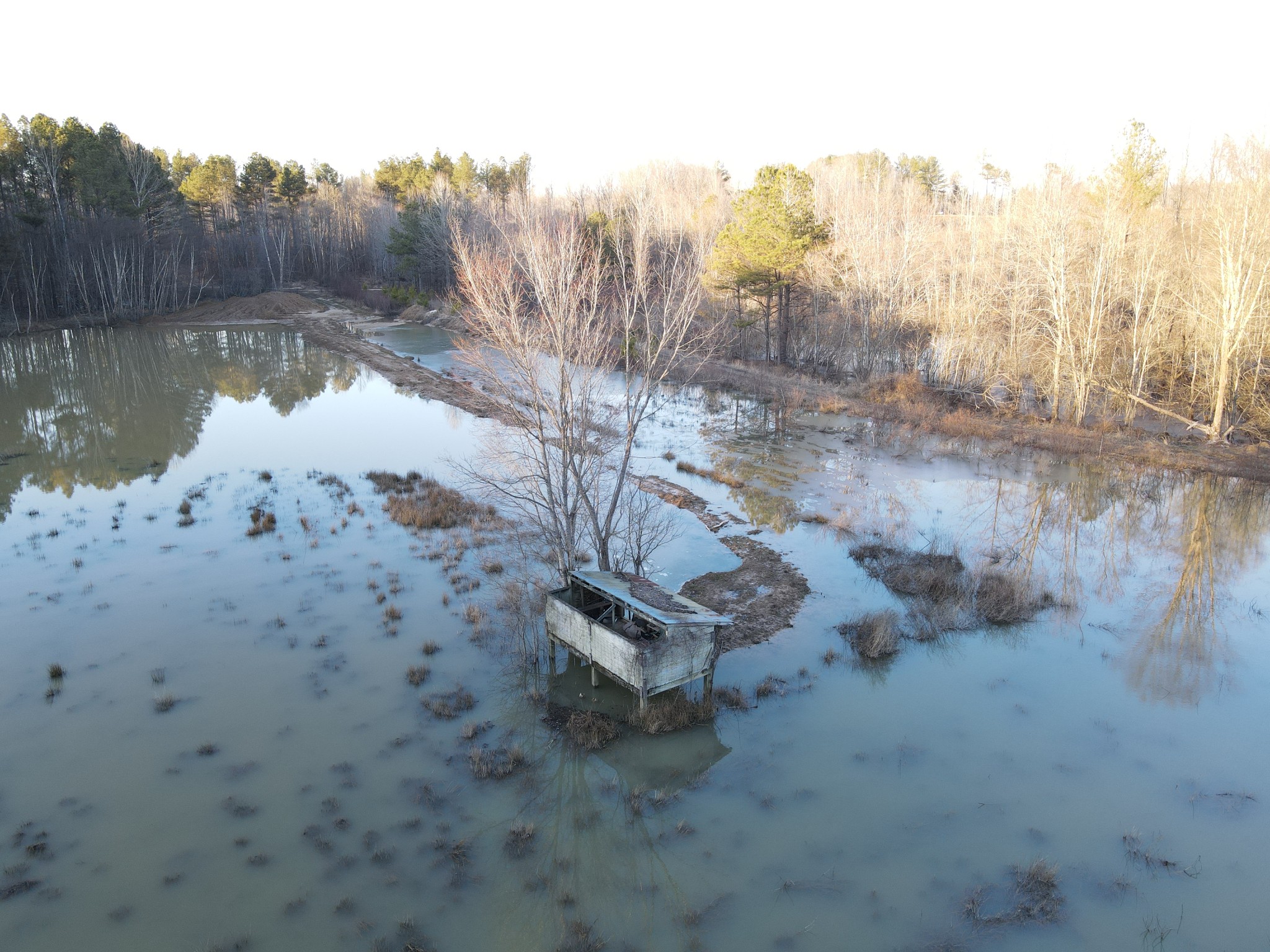 0 Copper Spring Road Springville, TN 38256 - Photo 8 of 28 a backyard of a house with lots of green space