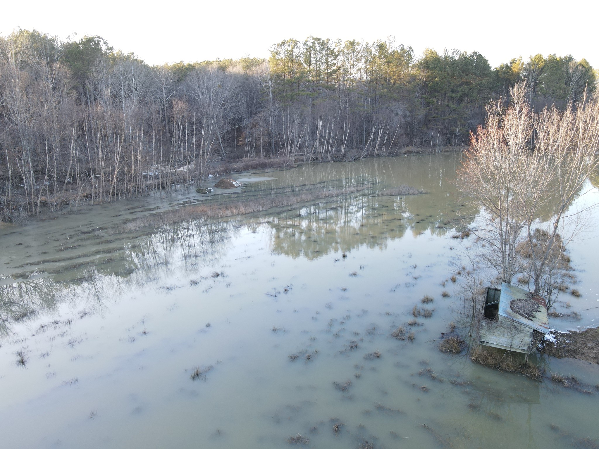 0 Copper Spring Road Springville, TN 38256 - Photo 9 of 28 a view of a lake view