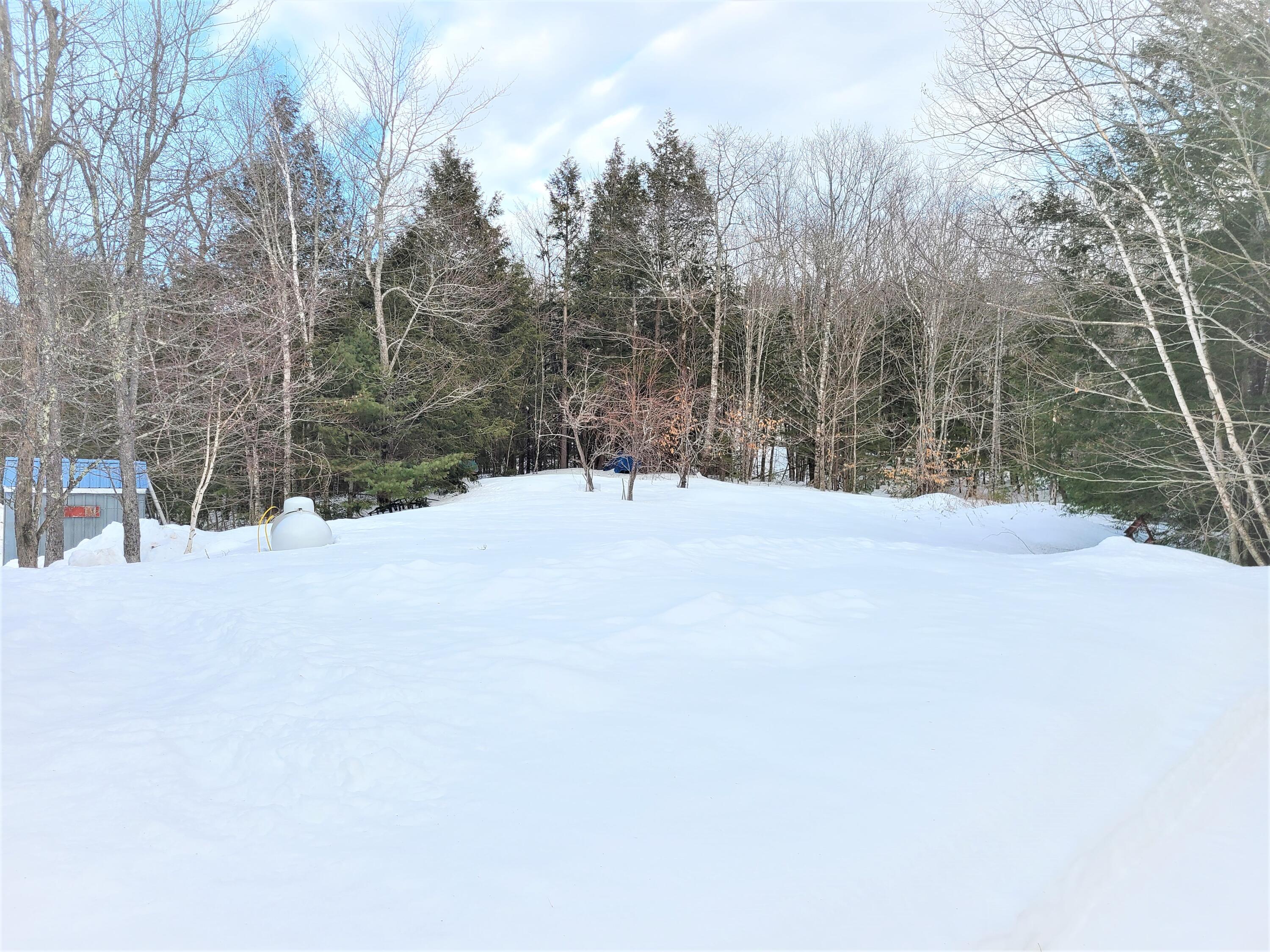 374 Dixmont Road Etna, ME 04434 - Photo 6 of 12 Back Lawn Area