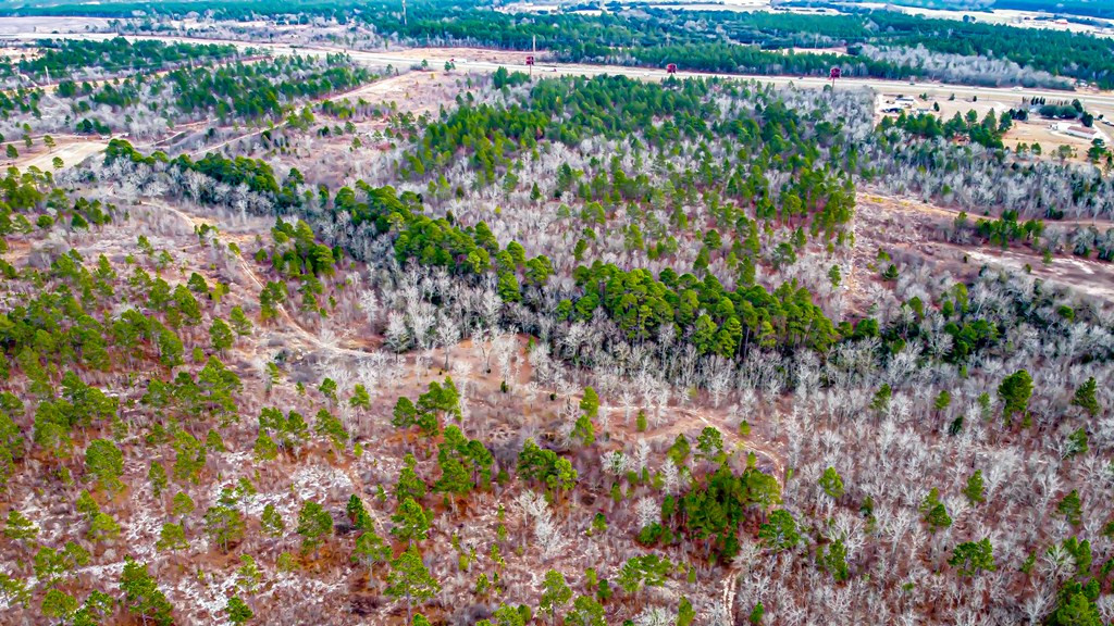 742 Kedron Church Road Aiken, SC 29805 - Photo 3 of 6
