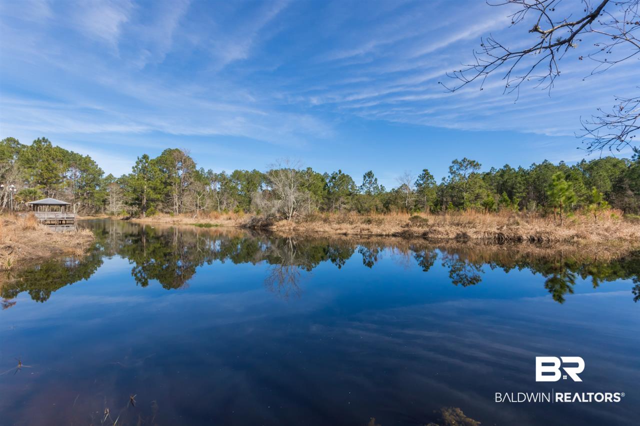 21801 County Road 28 Foley, AL 36535 - Photo 19 of 41
