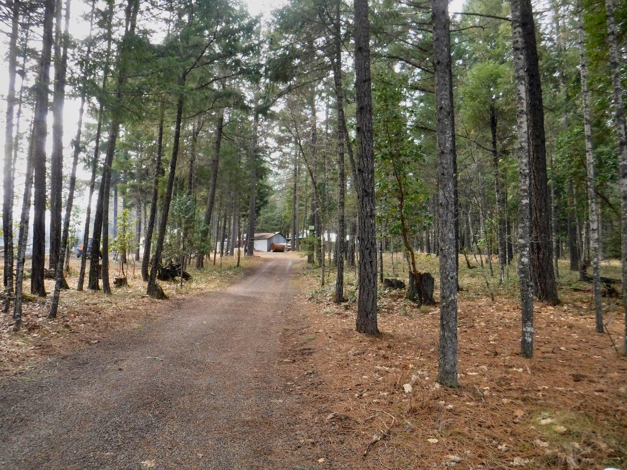 Old Trail Creek Road Trail, OR 97541 - Photo 1 of 17 01