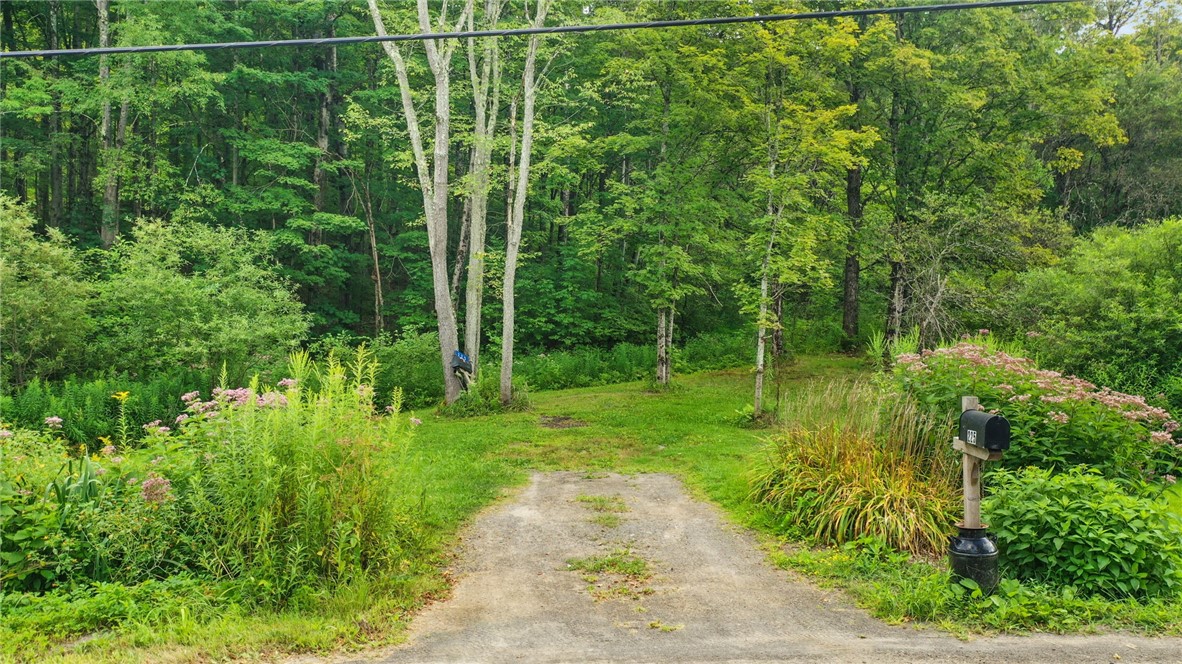 225 Rezen Road Middlefield, NY 13450 - Photo 26 of 27