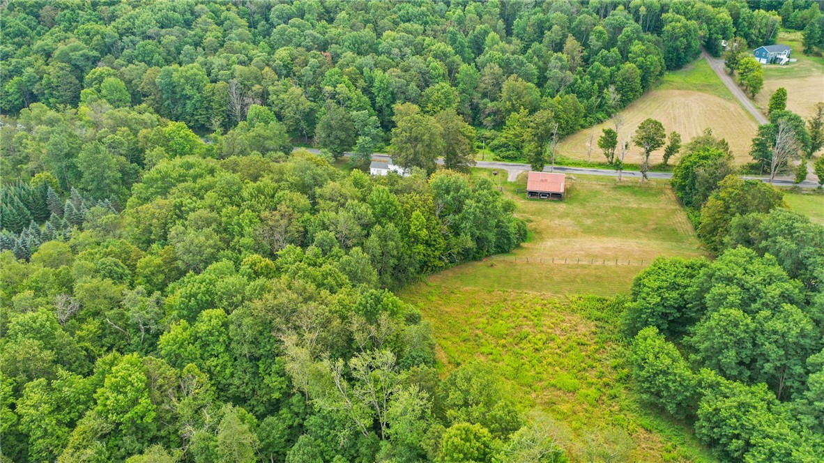 225 Rezen Road Middlefield, NY 13450 - Photo 7 of 27