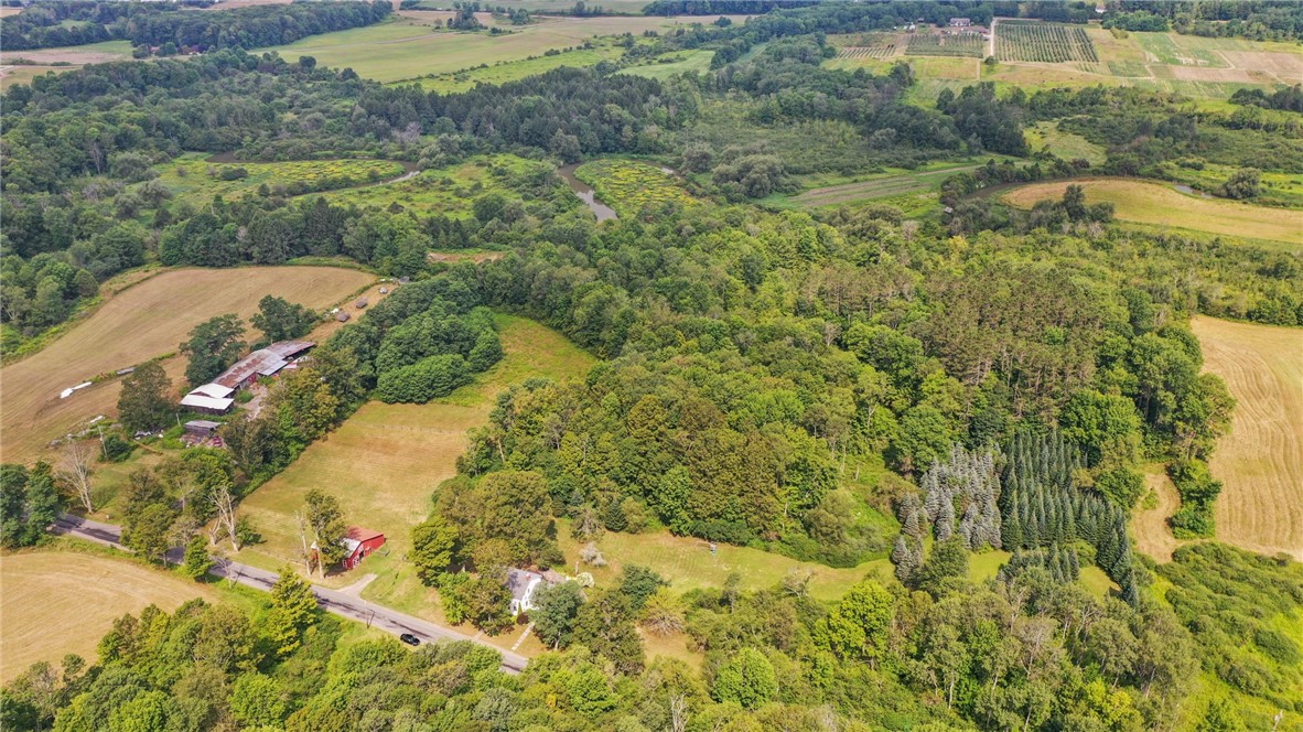 225 Rezen Road Middlefield, NY 13450 - Photo 8 of 27