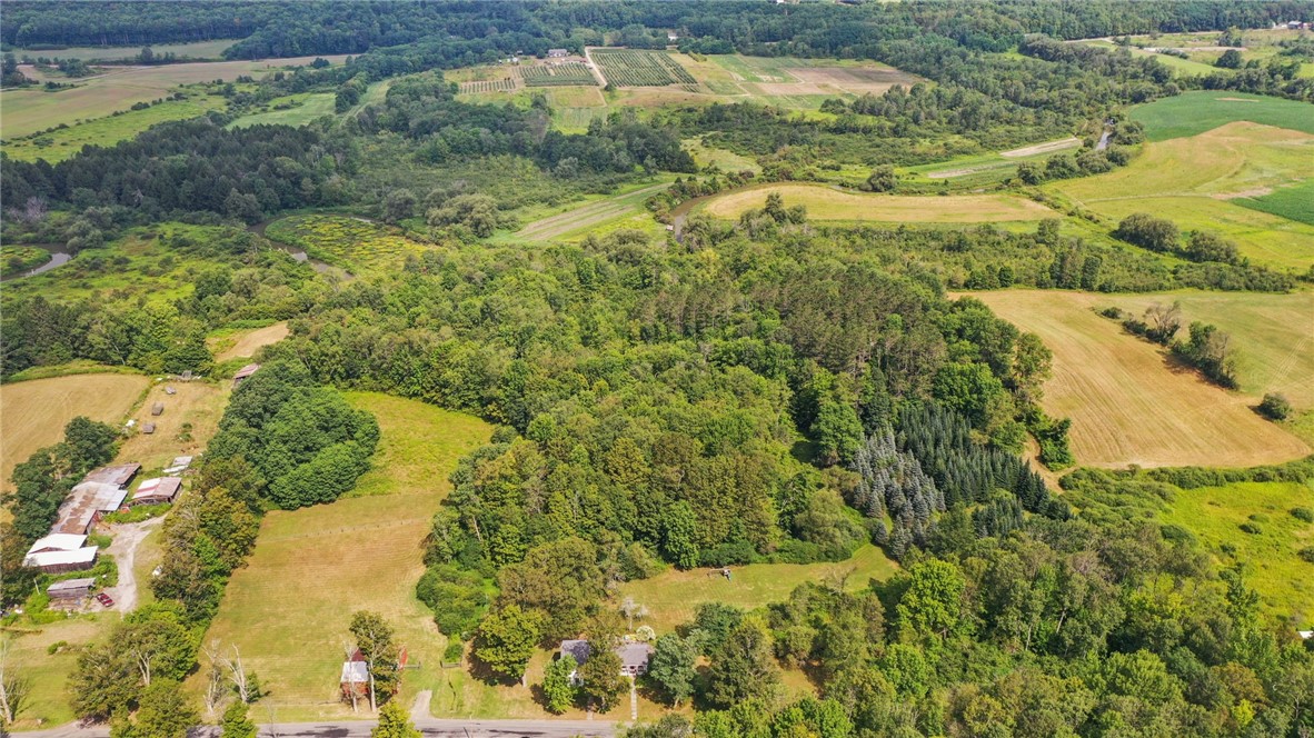 225 Rezen Road Middlefield, NY 13450 - Photo 9 of 27