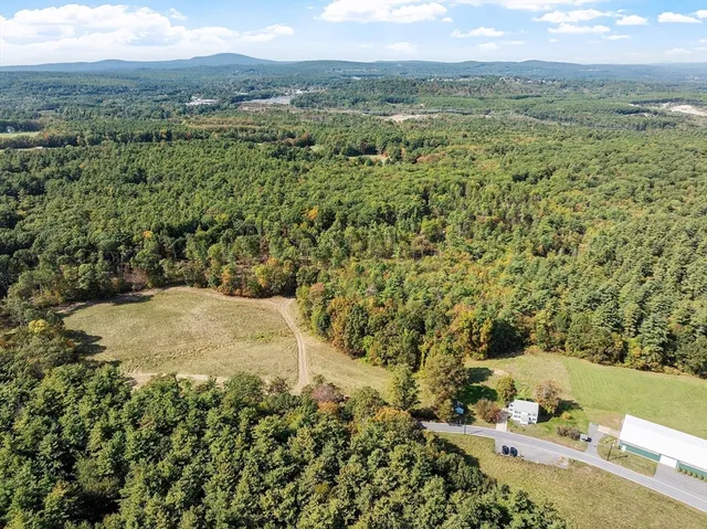 a view of a city with lush green forest