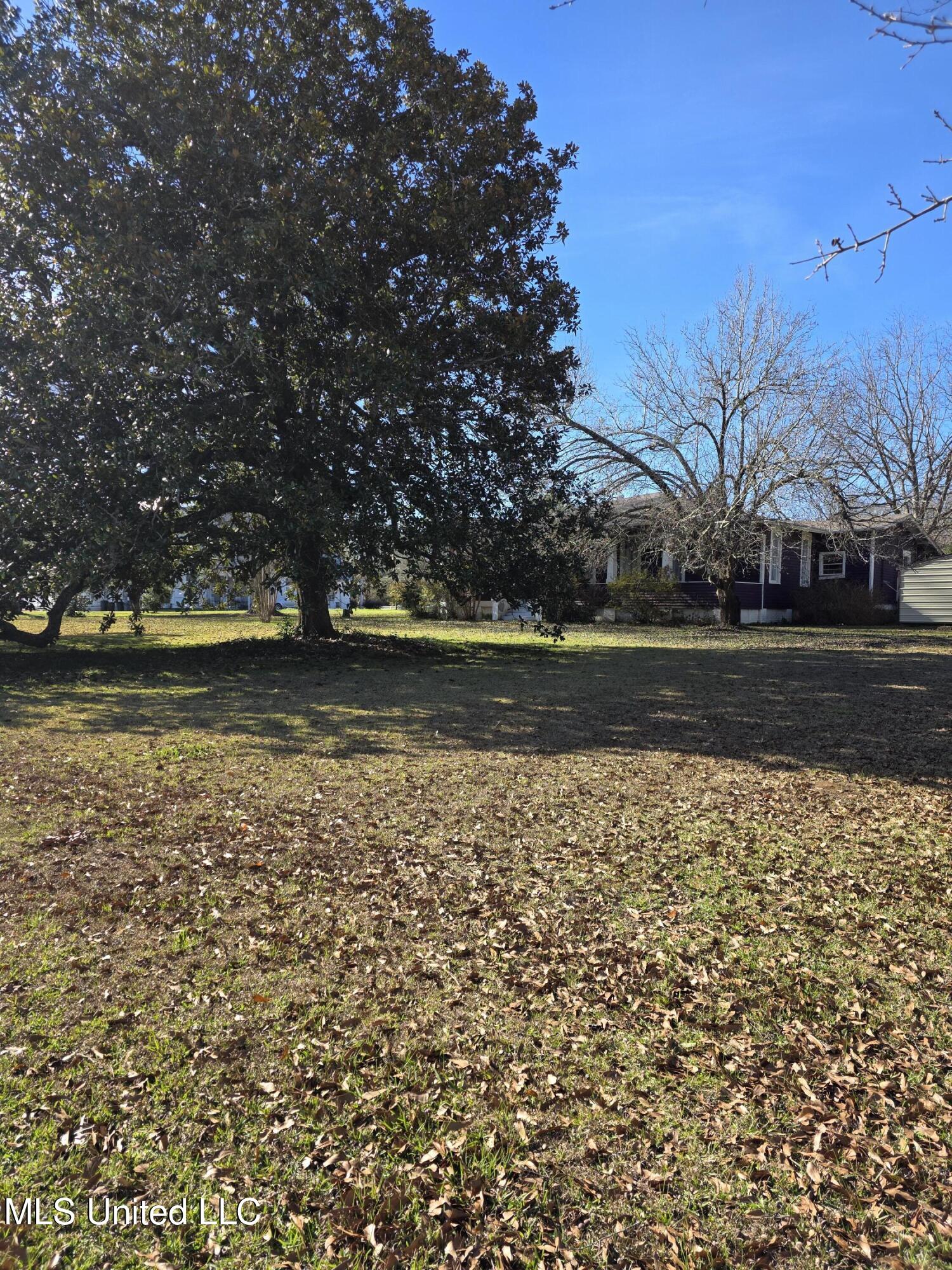 1079 Beech Street Wesson, MS 39191 - Photo 5 of 36 23861