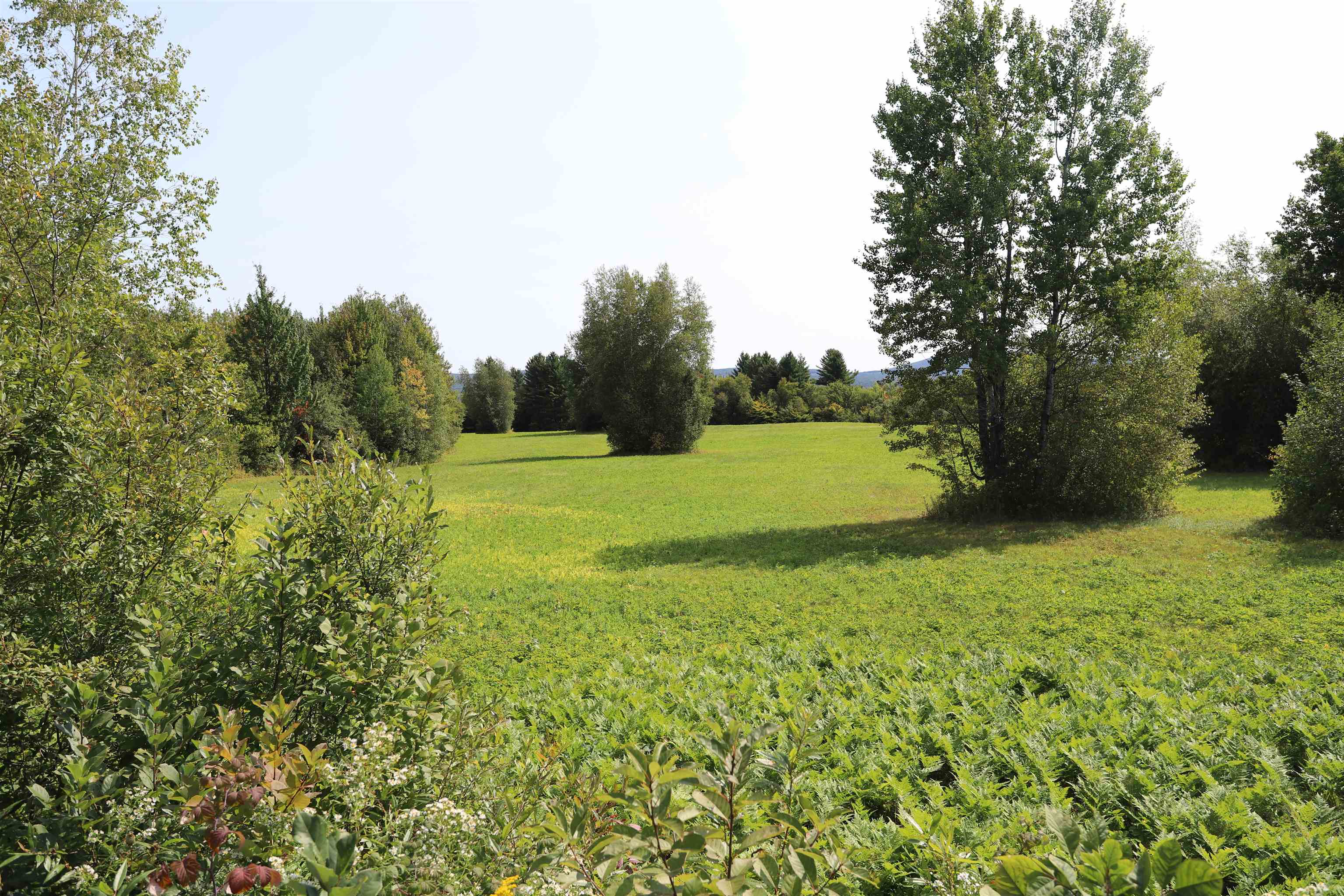 Tbd Balance Rock Road Westfield, VT 05874 - Photo 16 of 19