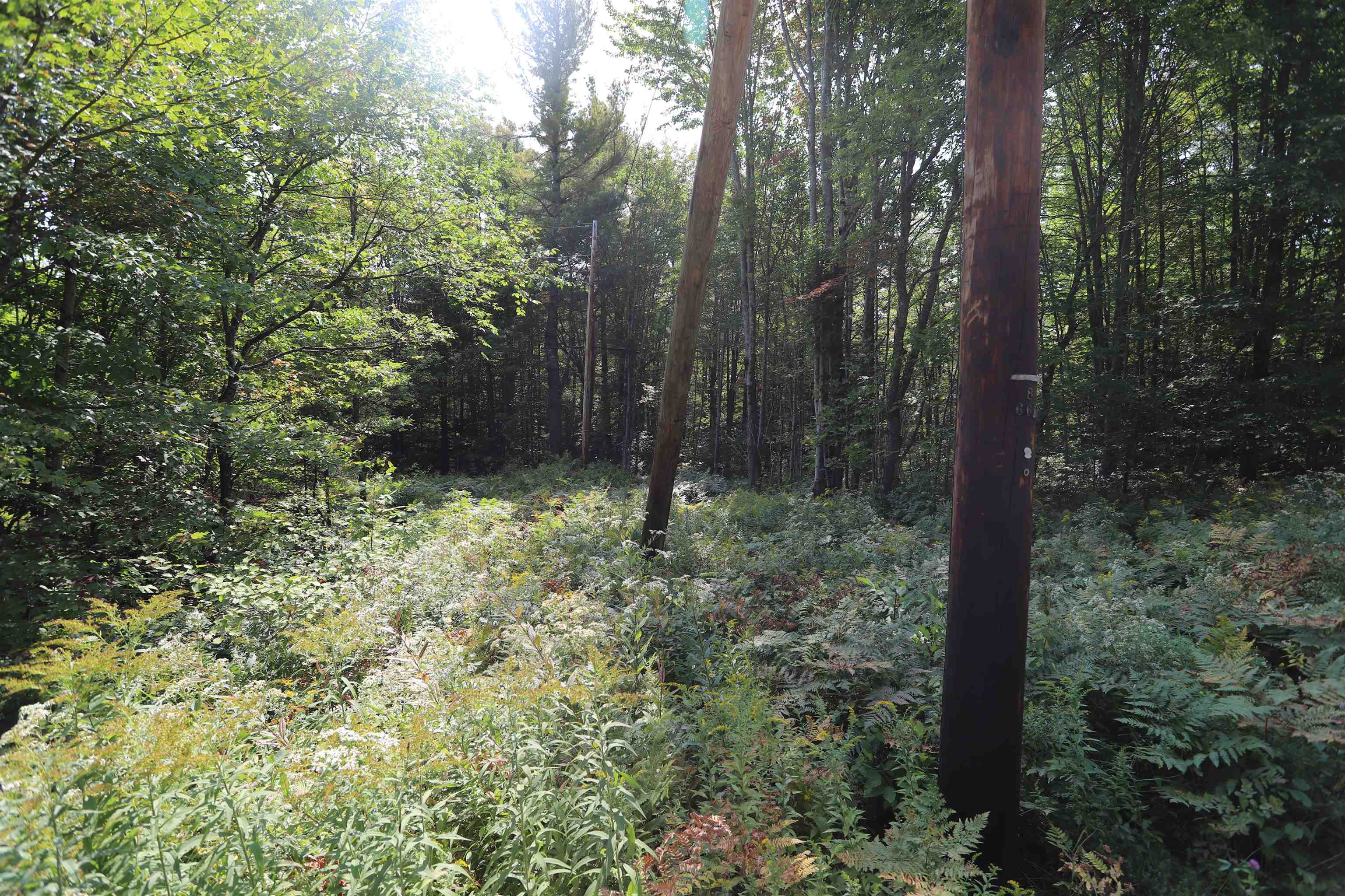 Tbd Balance Rock Road Westfield, VT 05874 - Photo 19 of 19