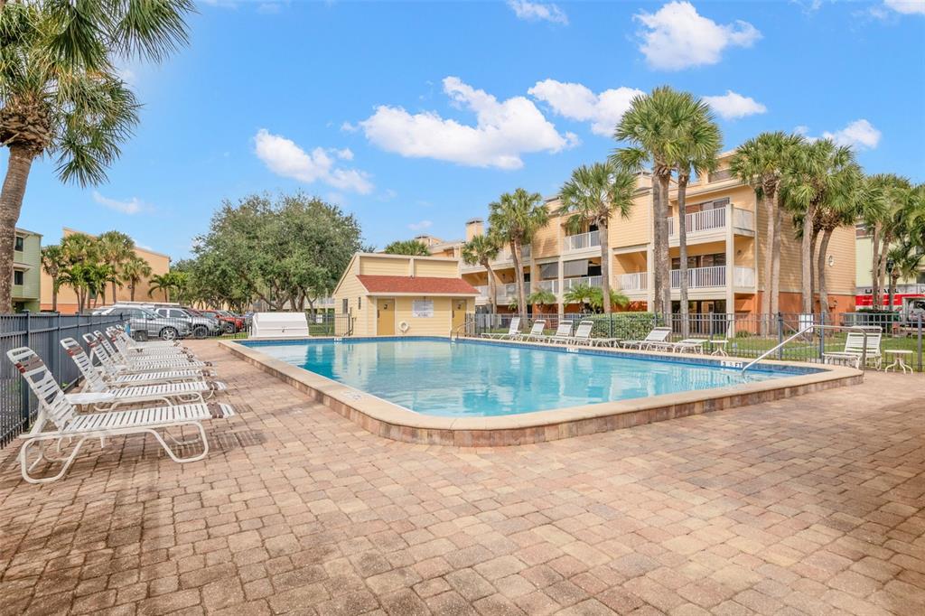 529 Sandy Hook Road Treasure Island, FL 33706 - Photo 41 of 55 a view of a swimming pool with a lawn chairs under palm trees