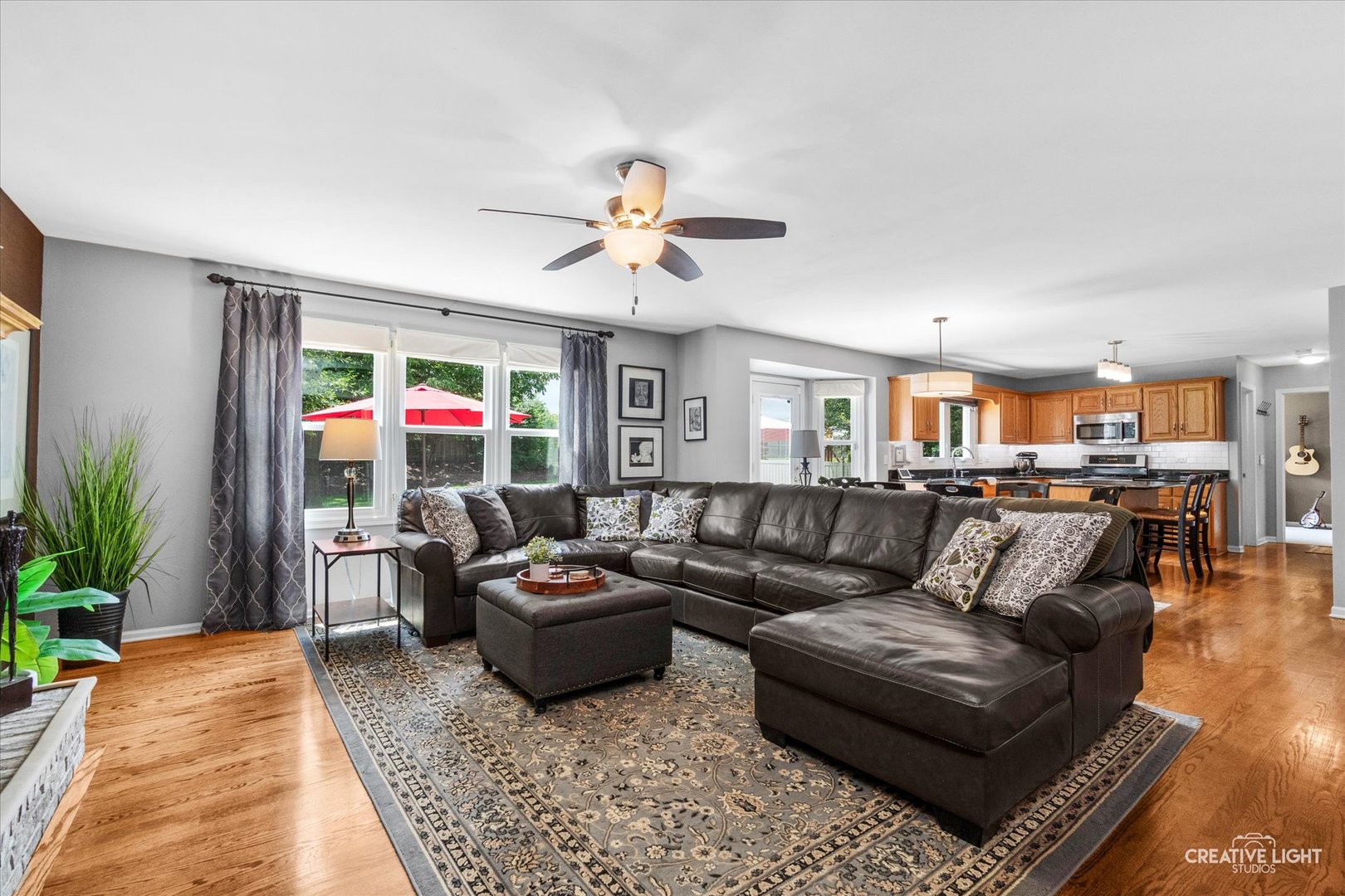 4840 Snapjack Circle Naperville, IL 60564 - Photo 4 of 44