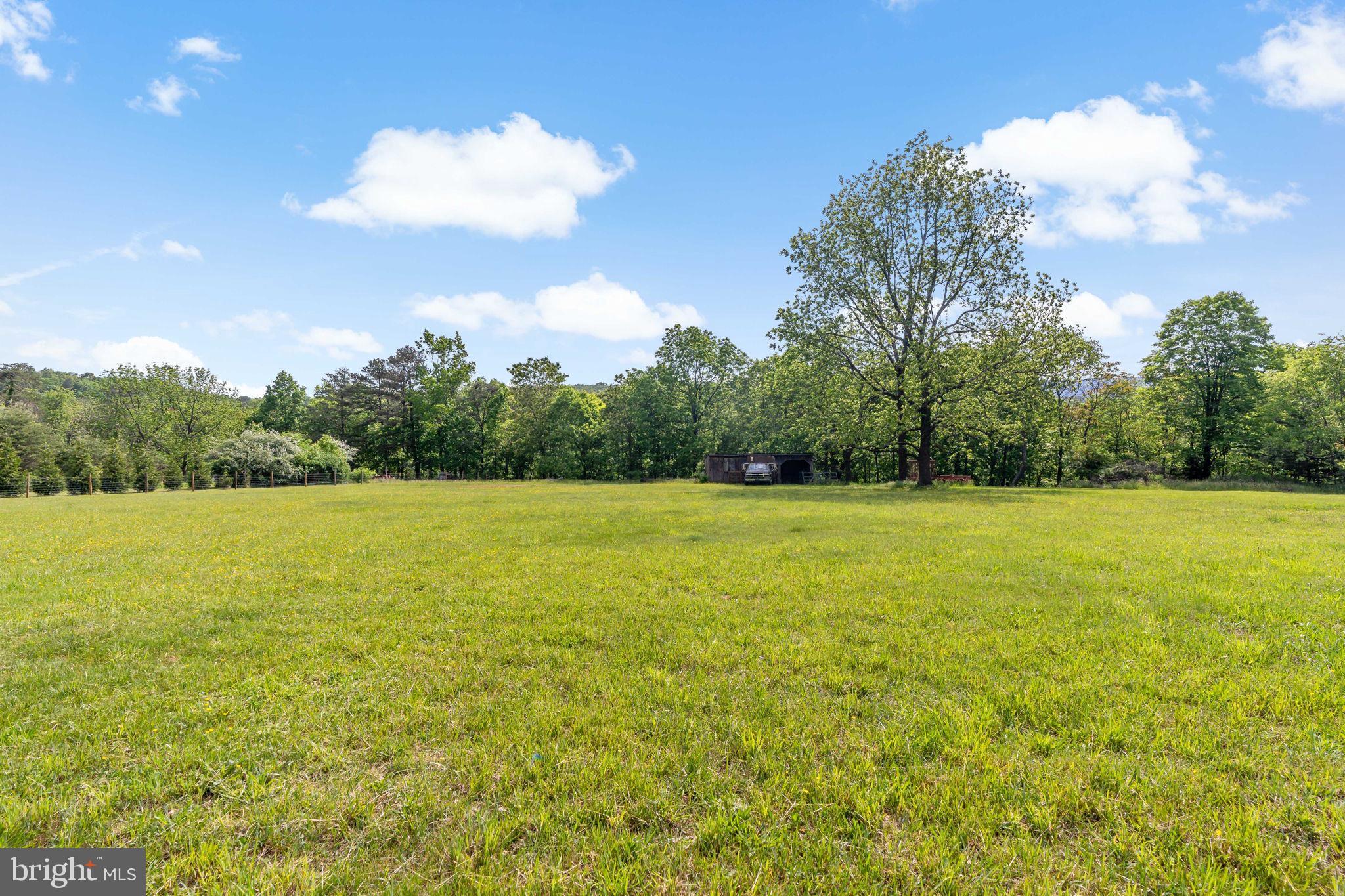 7021 Winchester Grade Road Berkeley Springs, WV 25411 - Photo 31 of 46 Beautiful level land