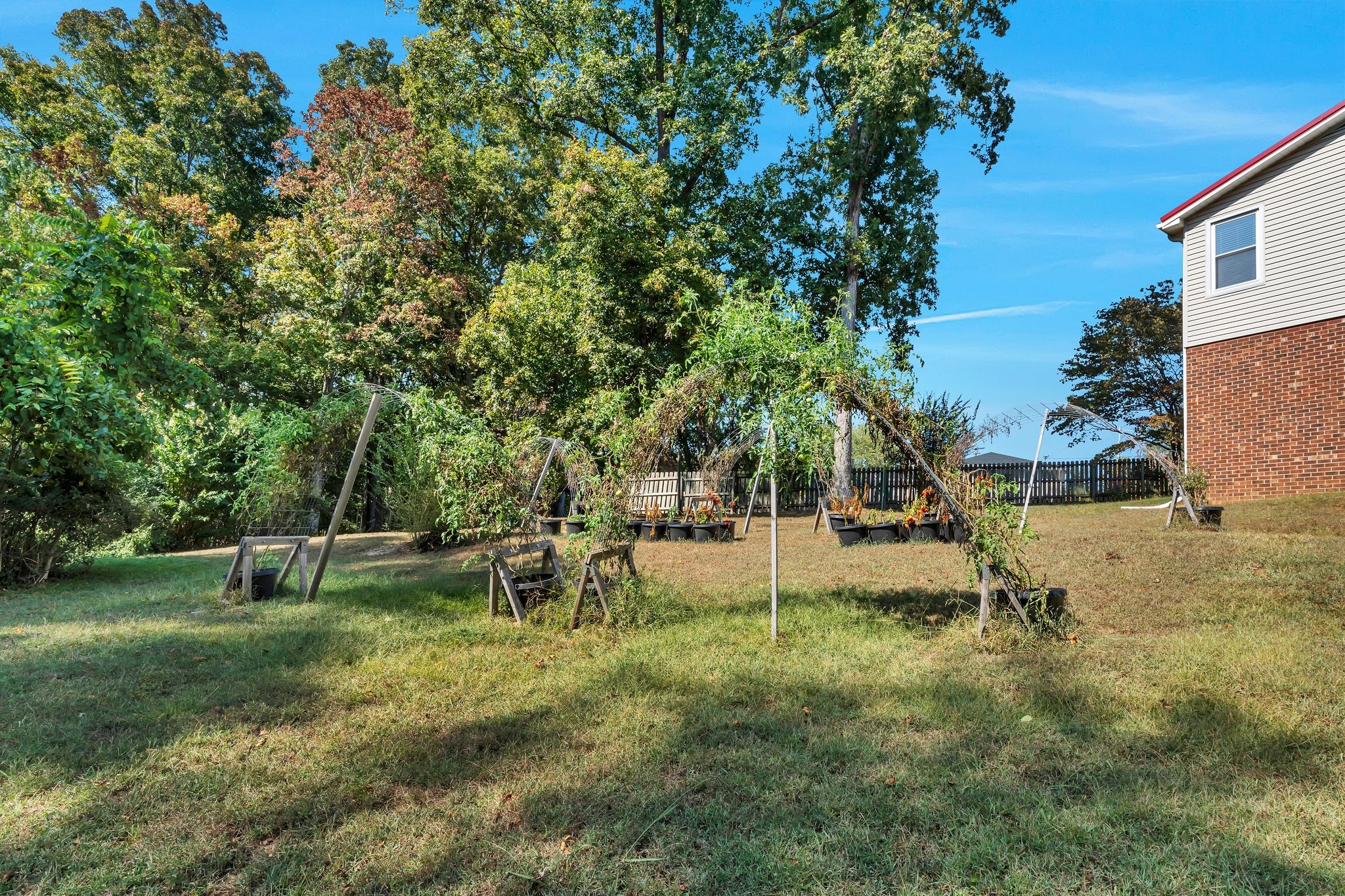 1008 Allen Road Ashland City, TN 37015 - Photo 7 of 26 a view of a park with a tree