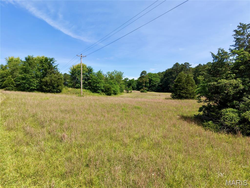 6483 Wayne Rte P Lowndes, MO 63951 - Photo 7 of 37