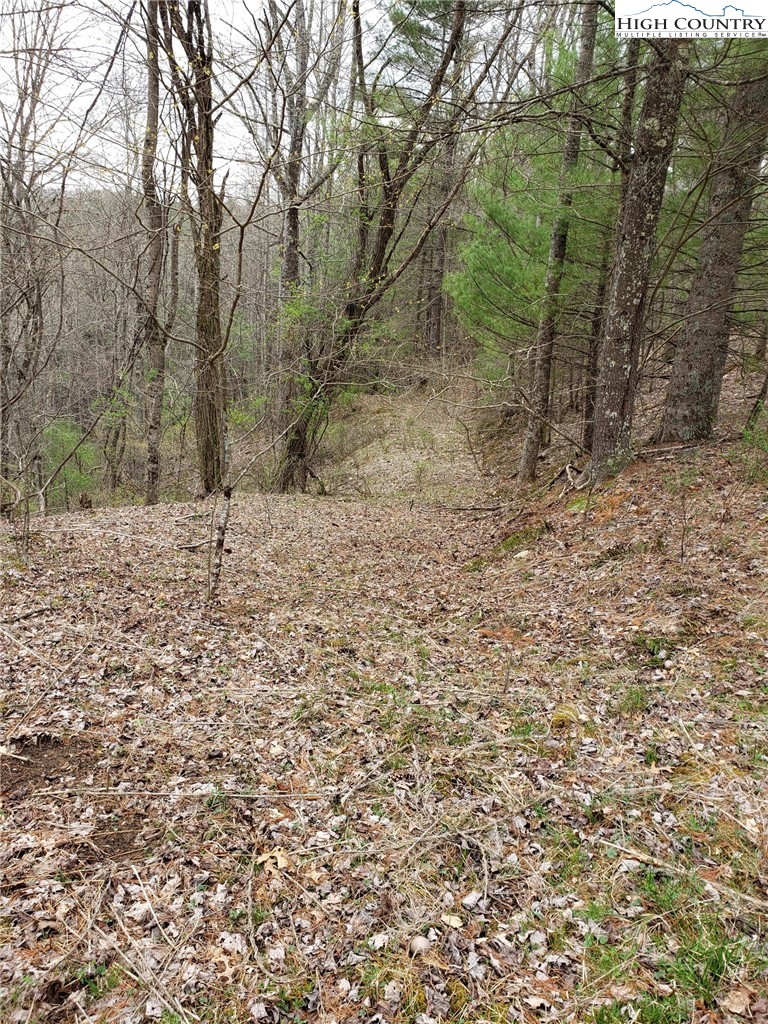 Lot 4 Running Cedar Lane Crumpler, NC 28617 - Photo 5 of 19