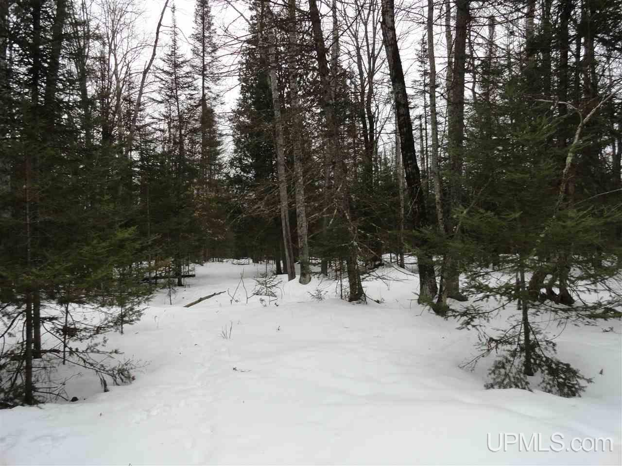 416 (23rd Road Gladstone, MI 49837 - Photo 33 of 36
