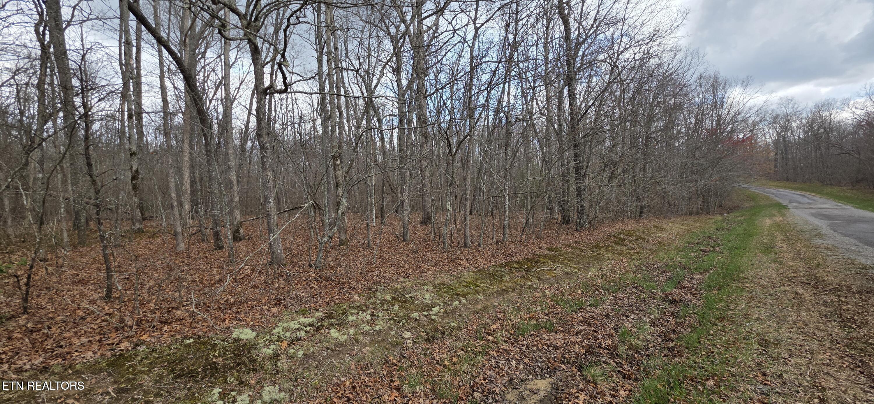 13 Pond Road Monterey, TN 38574 - Photo 10 of 11 Pond Drive Photo 3